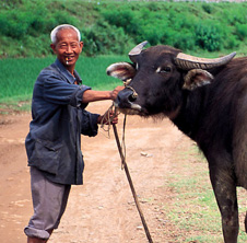 小型飼料顆粒機,農民圓夢！